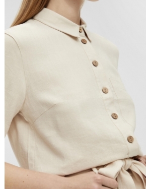 HADY SANDSHELL