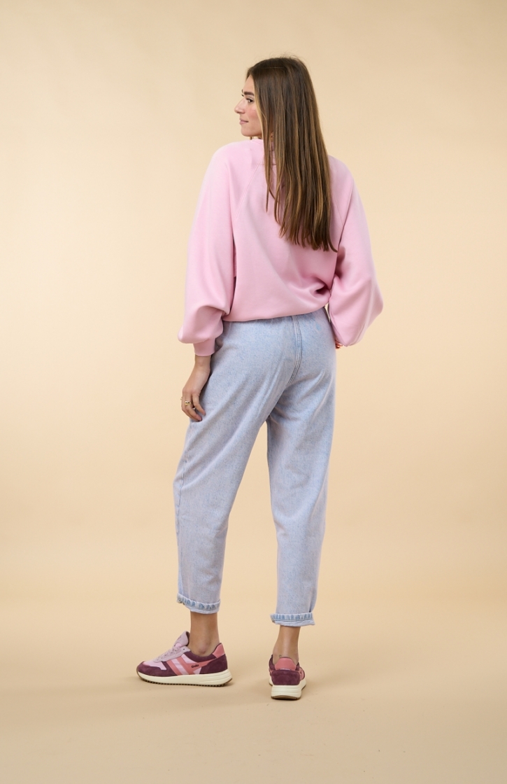 JOYBIRD SUR TEINTURE