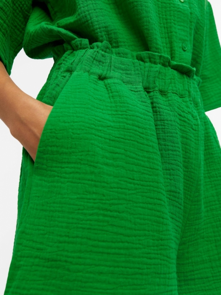 CARINA FERN GREEN